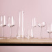Essence Champagneglas 21 cl, 4-pack